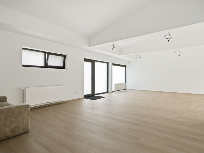 neon charlottalei 2 brasschaat-32.jpg