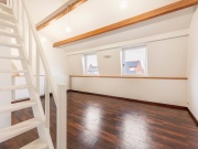 frans standaertlei-11.jpg