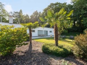 charlottalei buiten-3.jpg