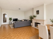 Licht Scandinavisch interieur met haard en planten.png