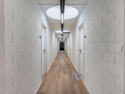 neon hoogboomsteenweg 231 kapellen-25.jpg