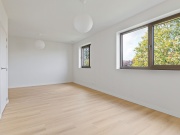 Neon Klein Heiken 124 Kapellen-20.jpg