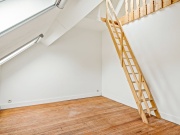 Neon Hoevensebaan 91 Kapellen-25.jpg