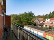 Neon Vuurkruisenlei 45 V2L Brasschaat-6.jpg