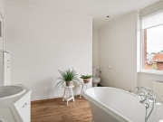 Neon Hoevensebaan 91 Kapellen-23.jpg